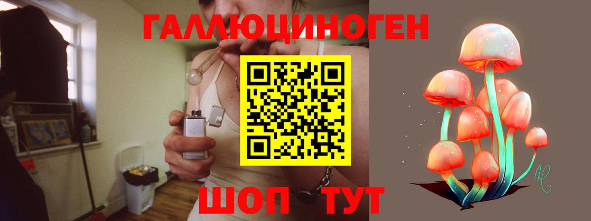 наркотики  Галлюциногенные грибы GOLDEN TEACHER  Псилоцибиновые грибы мицелий  Вход с VPN  Урус-Мартан 